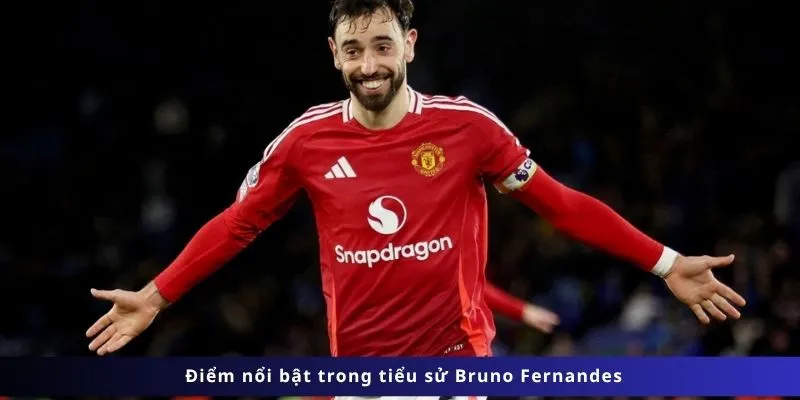 Điểm nổi bật trong tiểu sử